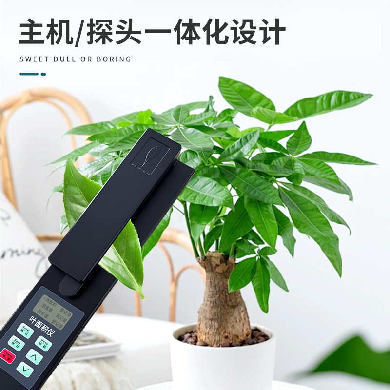 细节1