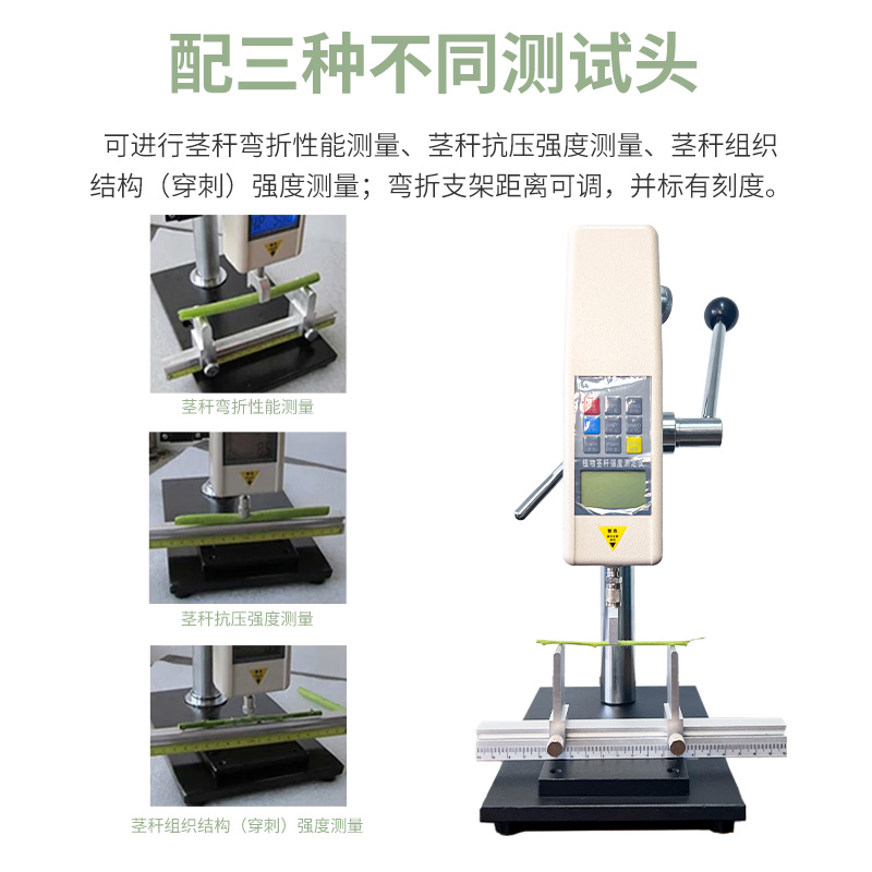 组 2